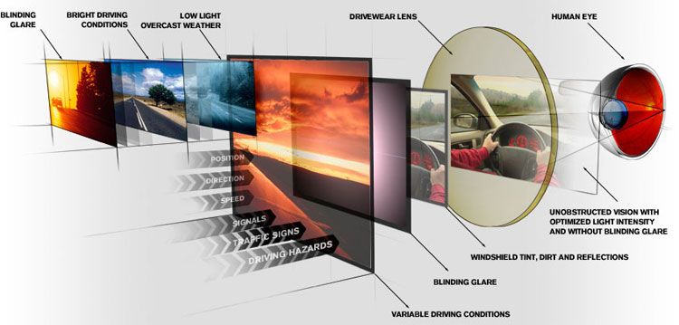 polarized lenses for driving