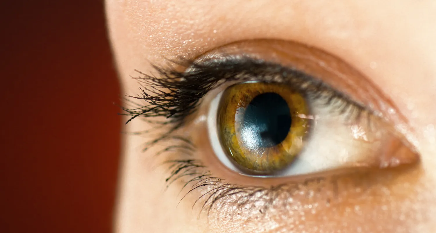 Learn about contact lenses